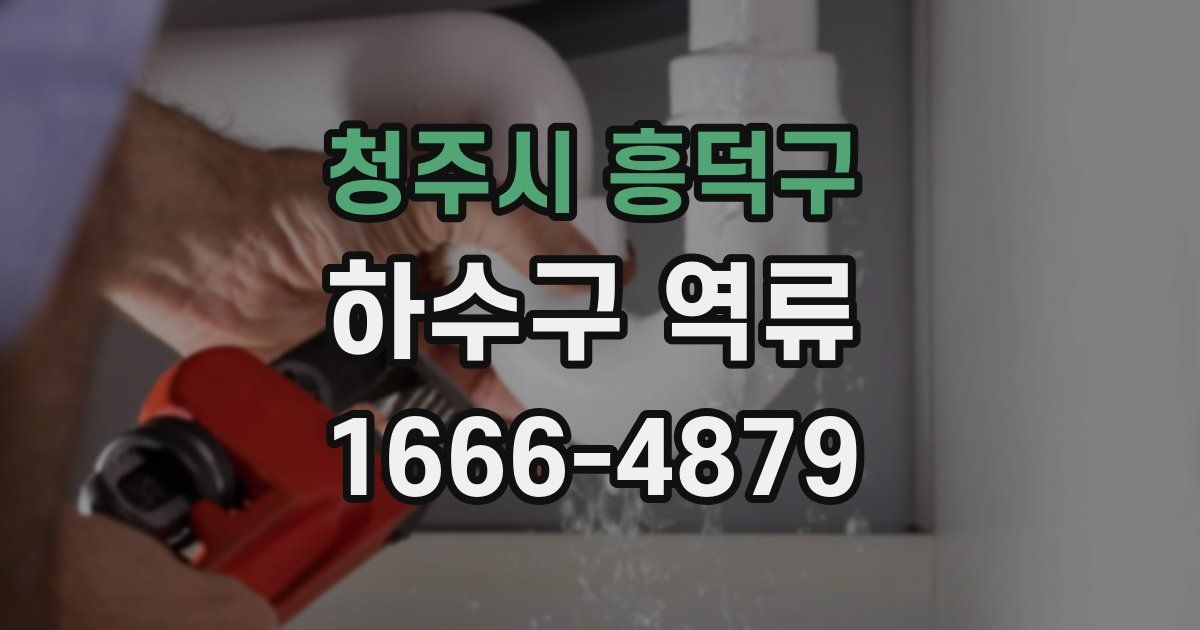 청주시 흥덕구 하수구 역류