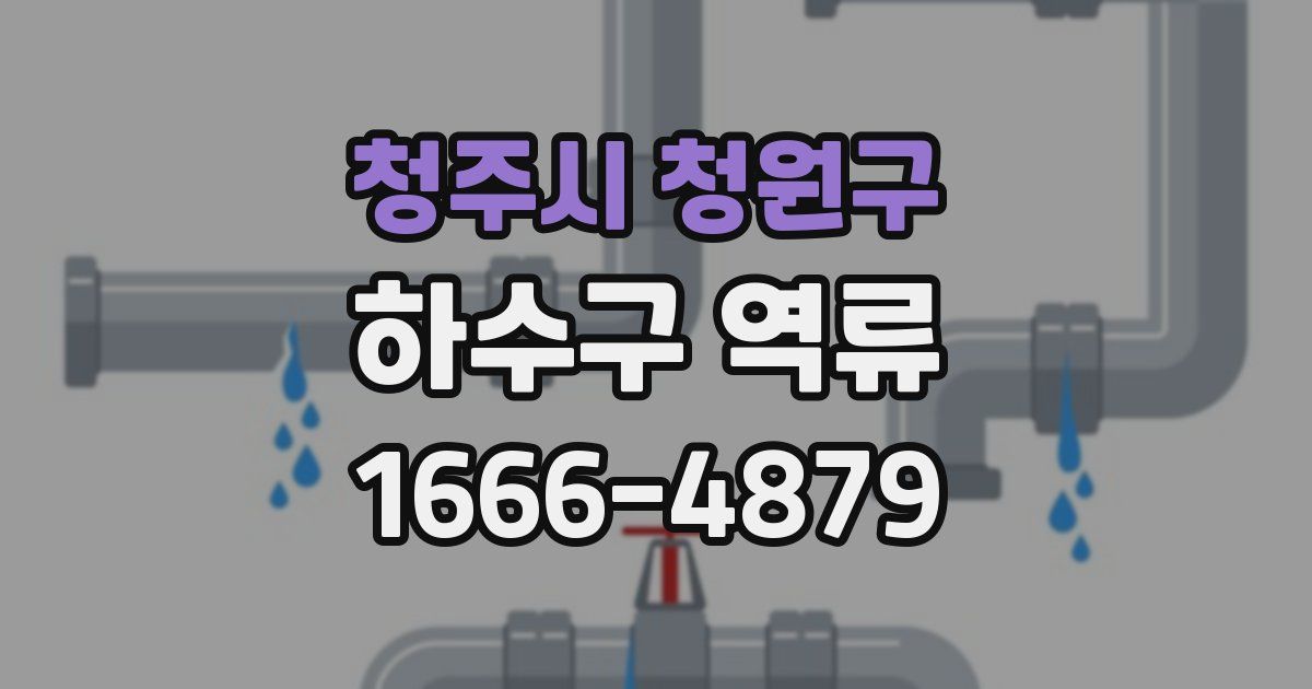 청주시 청원구 하수구 역류
