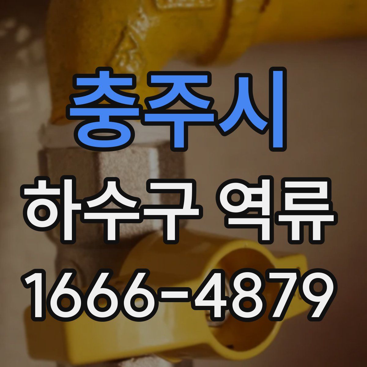 충주시 하수구 역류