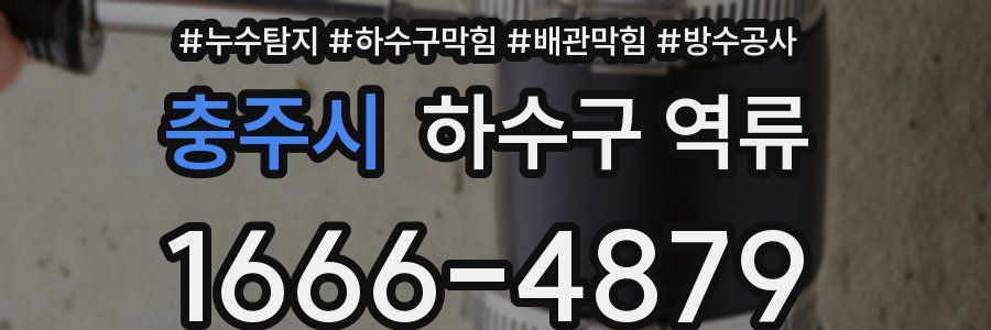충주시 하수구 역류