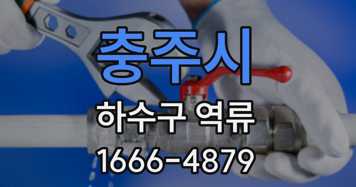 충주시 하수구 역류