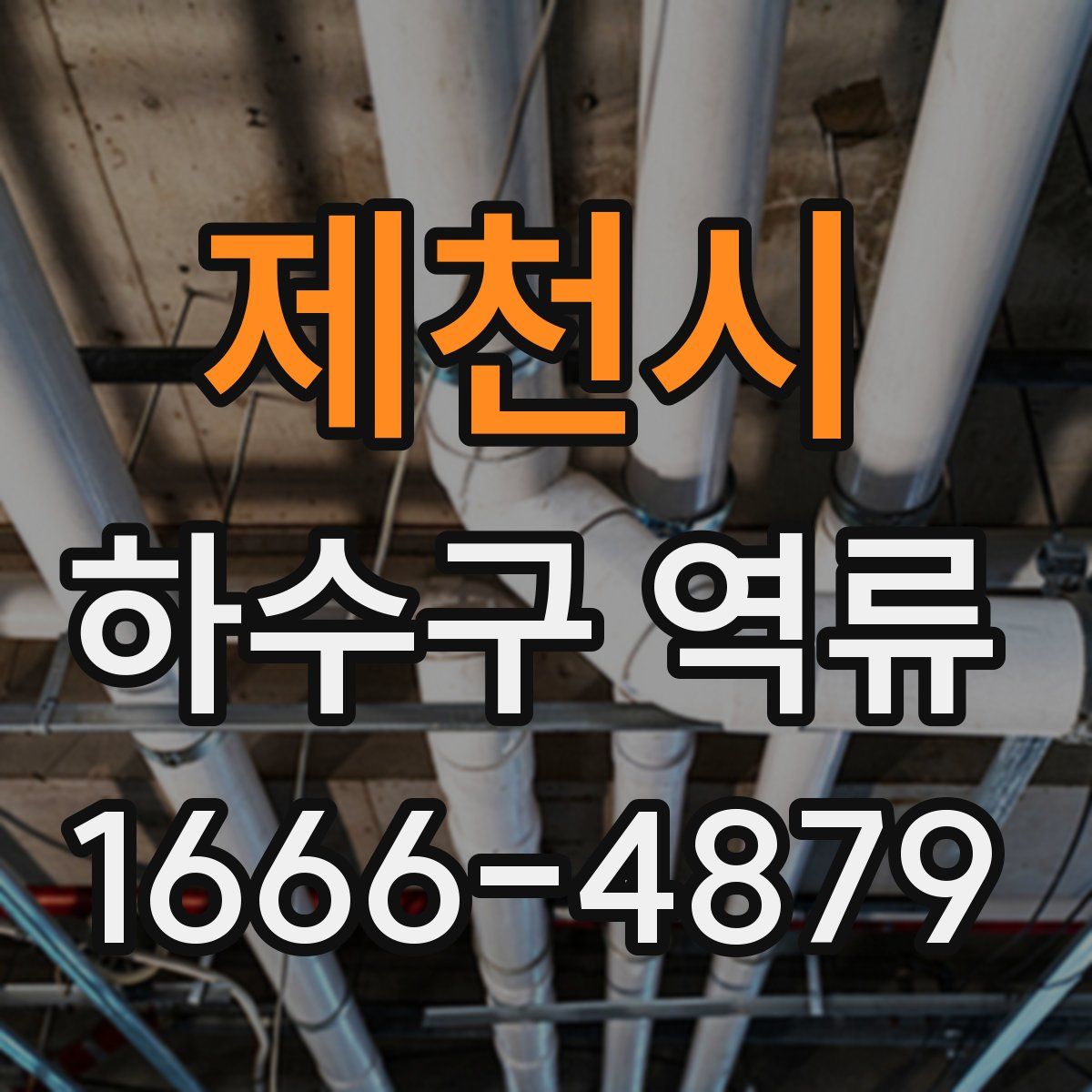 제천시 하수구 역류