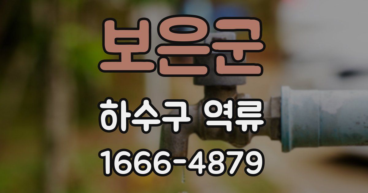 보은군 하수구 역류