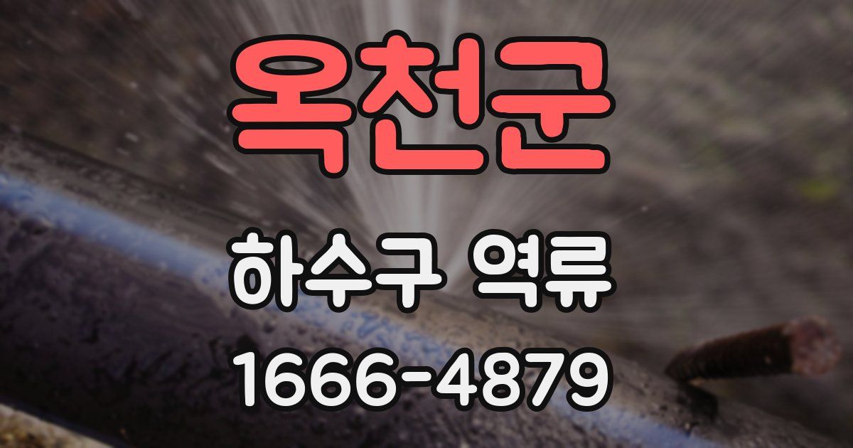 옥천군 하수구 역류