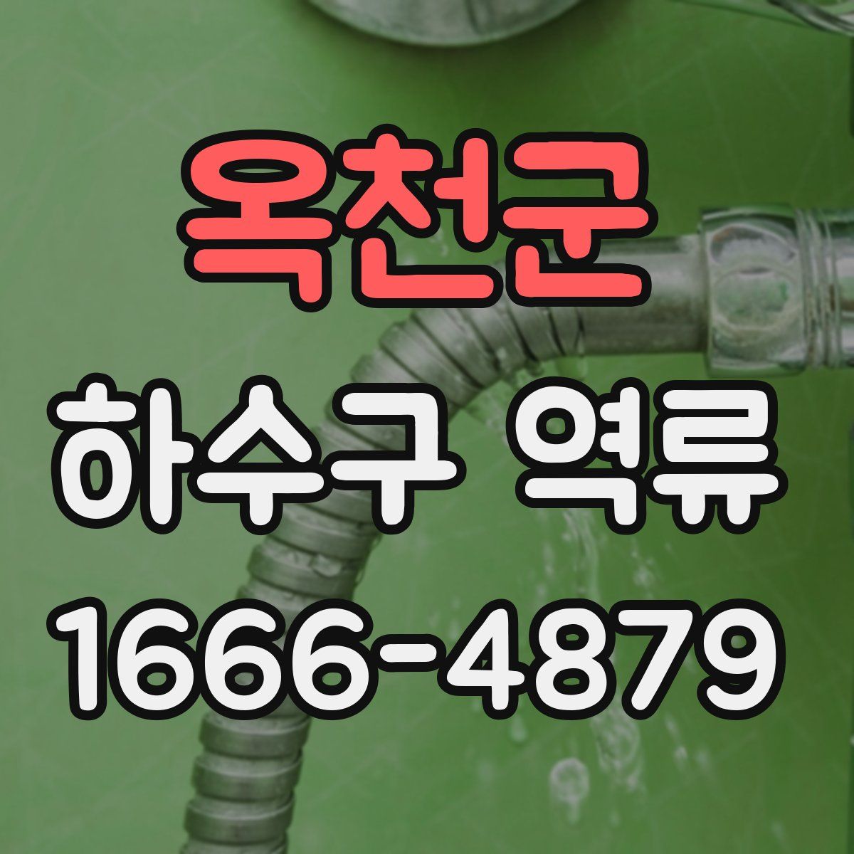 옥천군 하수구 역류