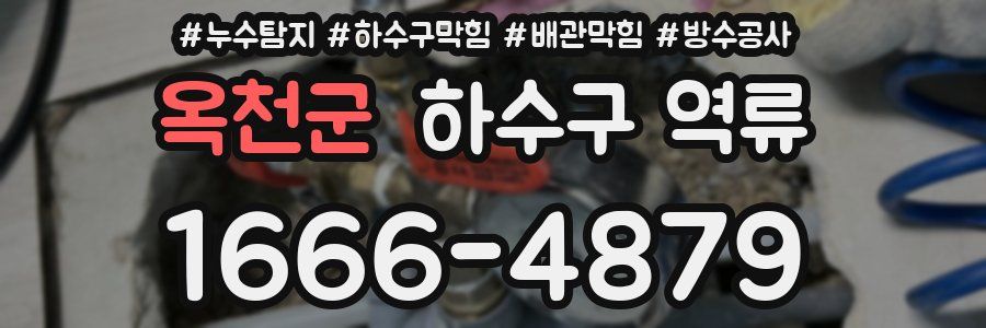 옥천군 하수구 역류