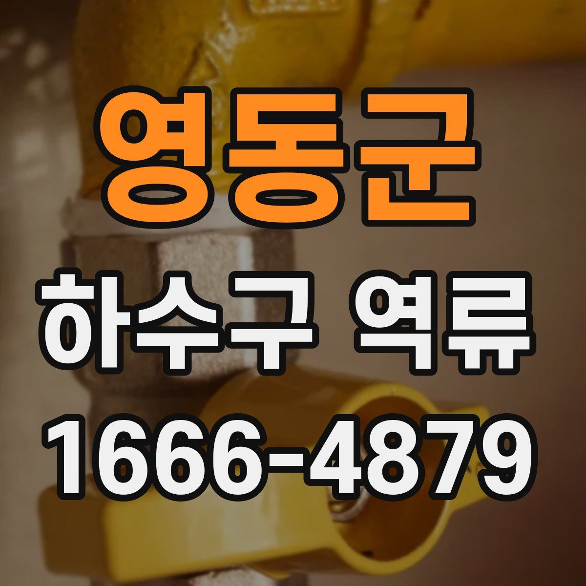 영동군 하수구 역류