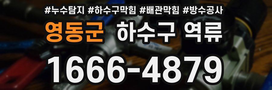 영동군 하수구 역류