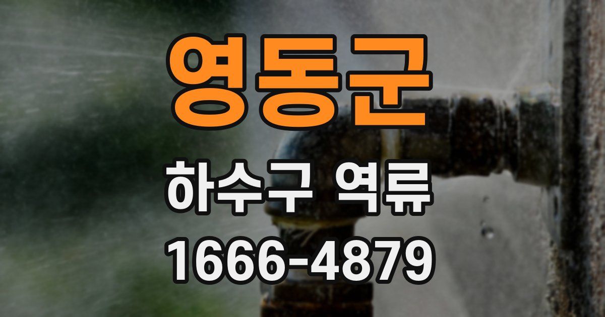 영동군 하수구 역류