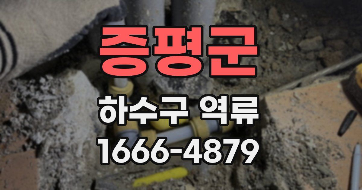 증평군 하수구 역류