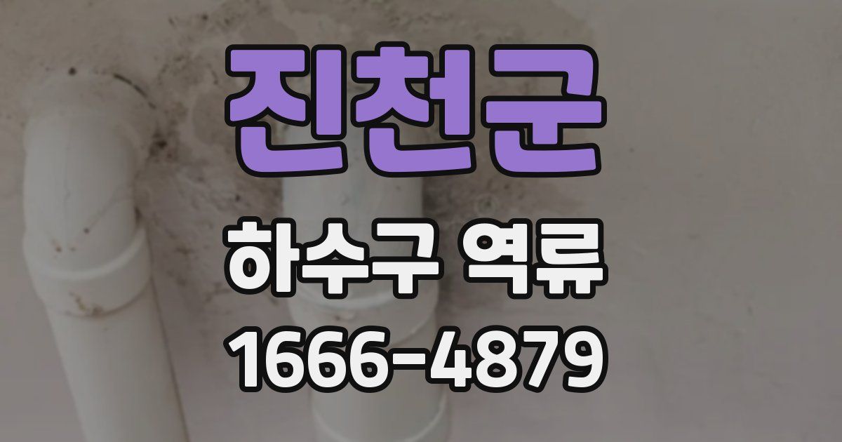 진천군 하수구 역류