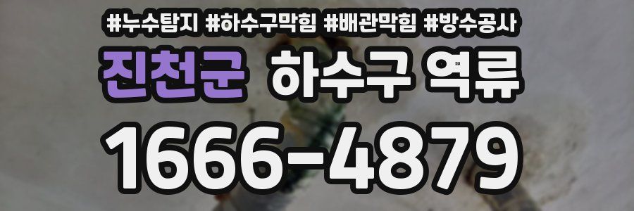진천군 하수구 역류