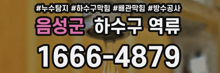 음성군 하수구 역류