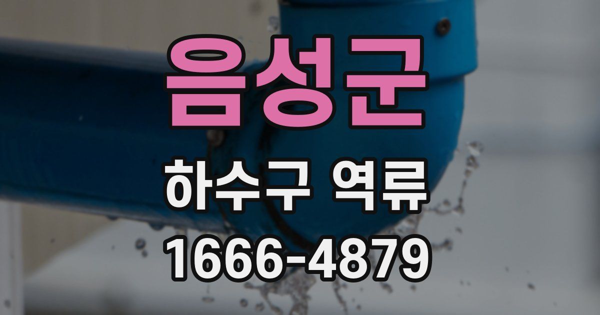 음성군 하수구 역류
