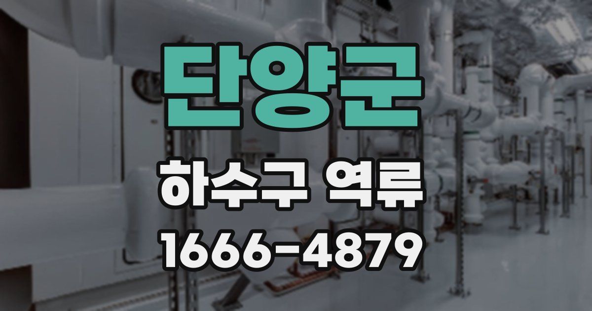 단양군 하수구 역류