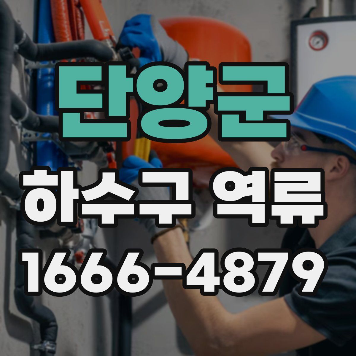 단양군 하수구 역류