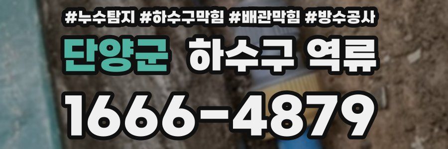단양군 하수구 역류