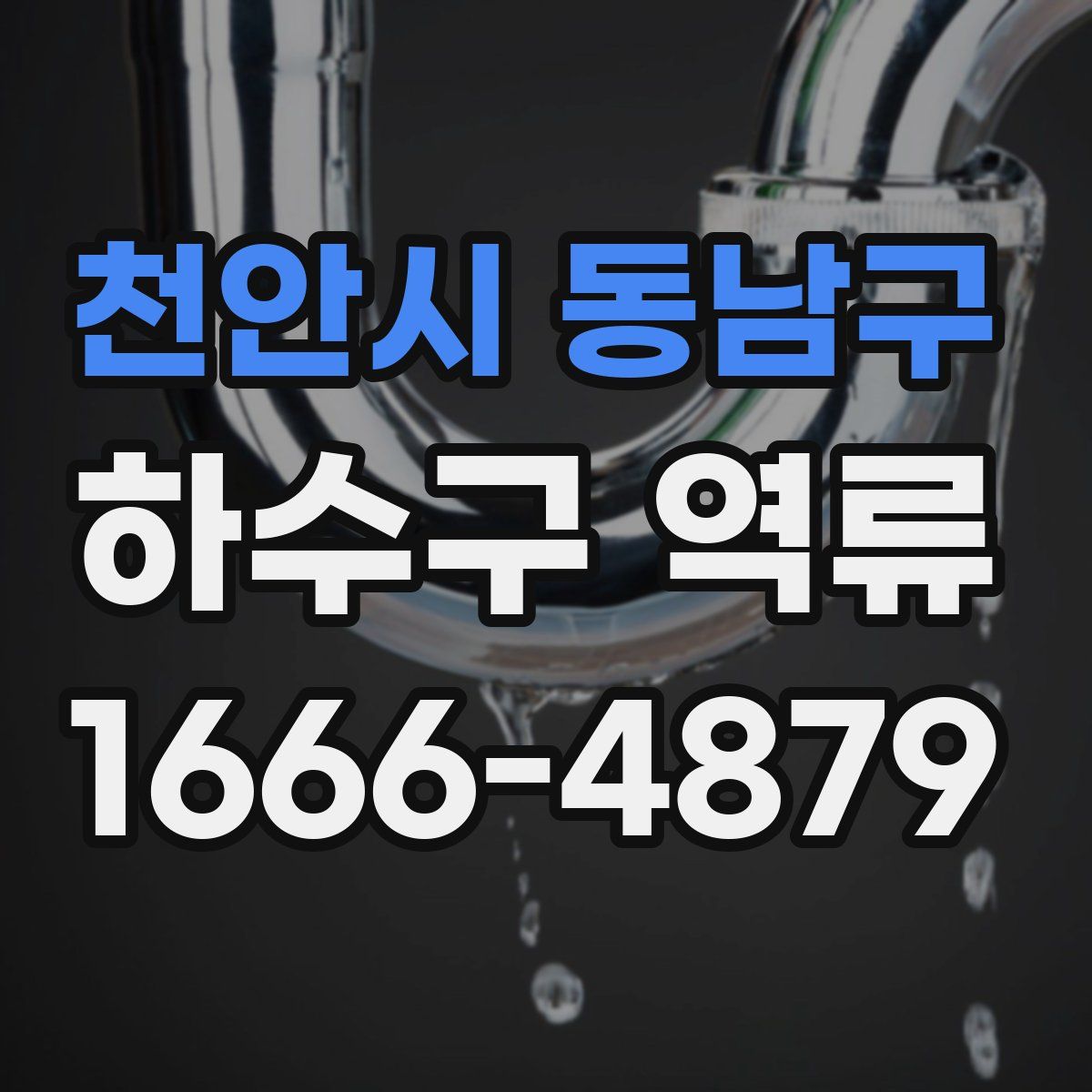 천안시 동남구 하수구 역류