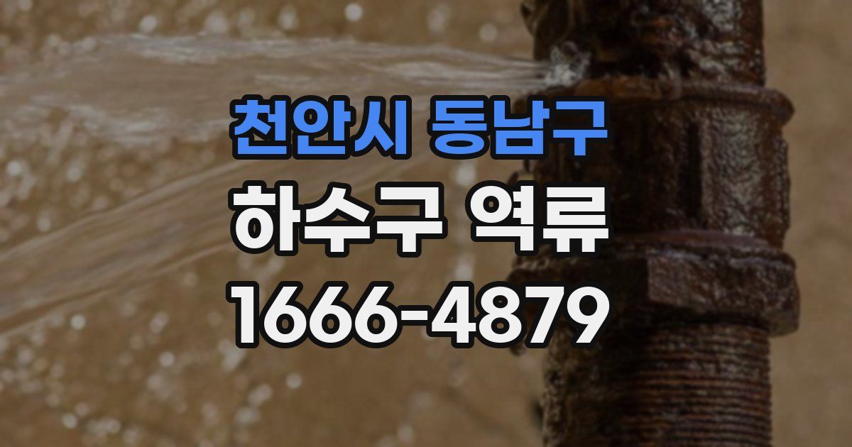 천안시 동남구 하수구 역류