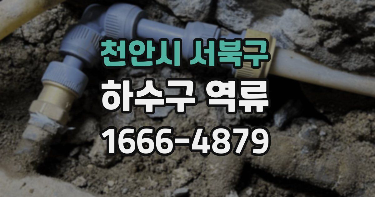 천안시 서북구 하수구 역류