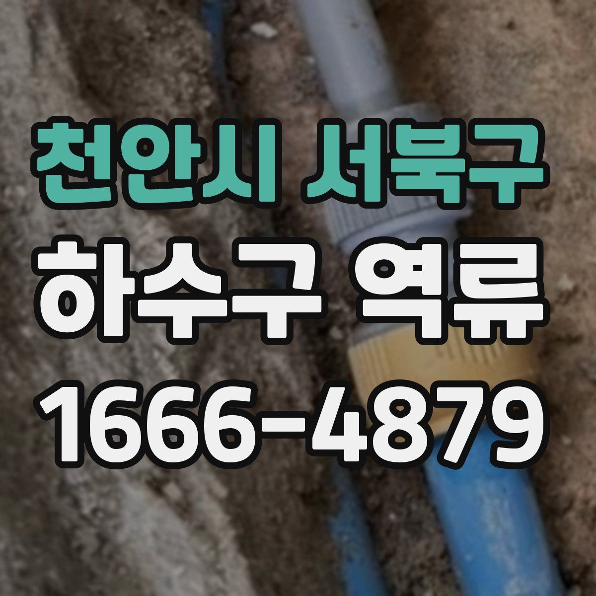 천안시 서북구 하수구 역류