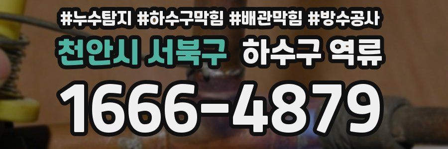 천안시 서북구 하수구 역류