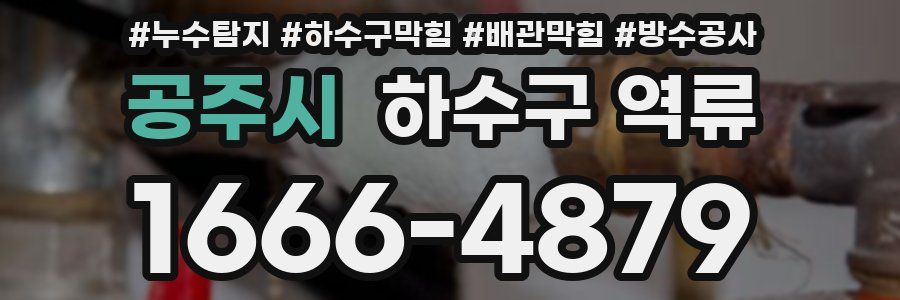 공주시 하수구 역류