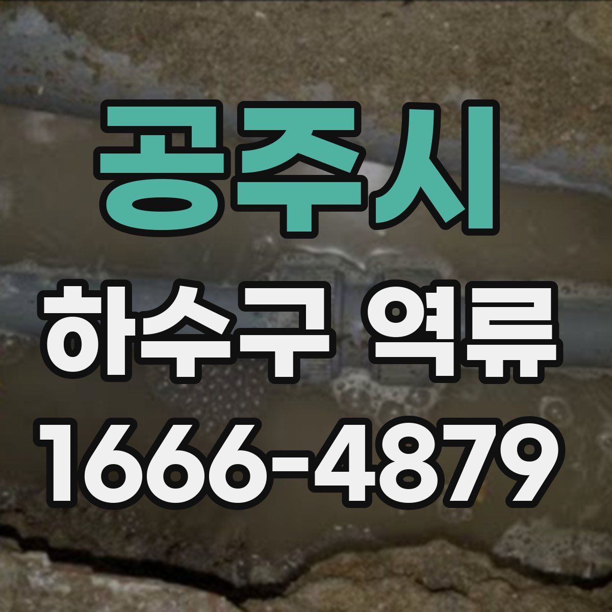 공주시 하수구 역류