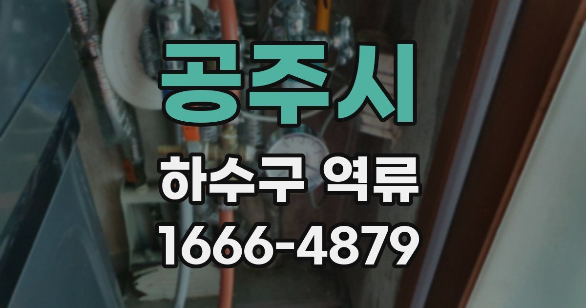 공주시 하수구 역류