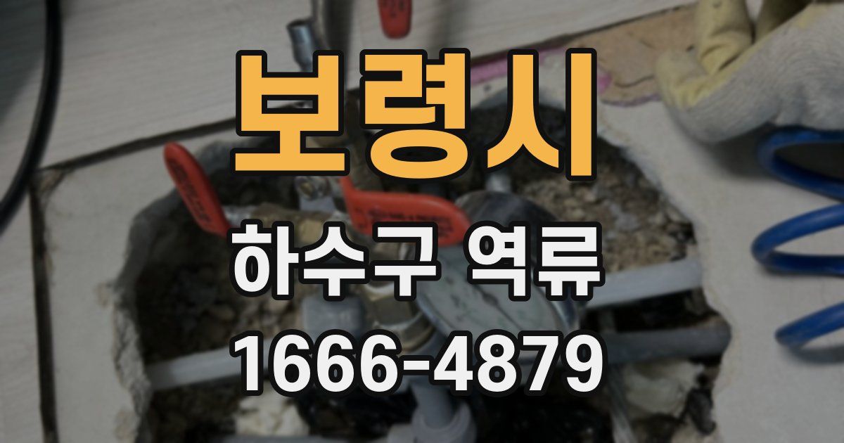 보령시 하수구 역류