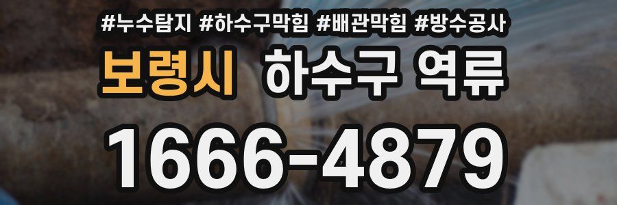 보령시 하수구 역류