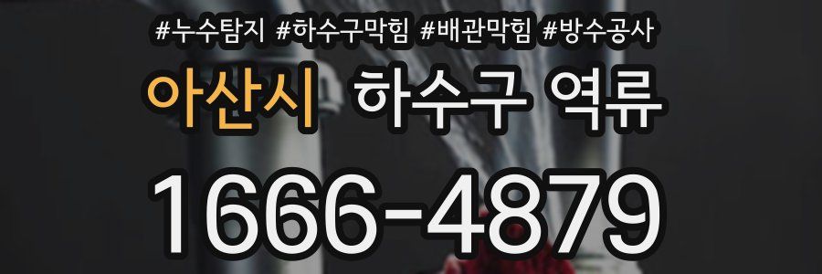 아산시 하수구 역류