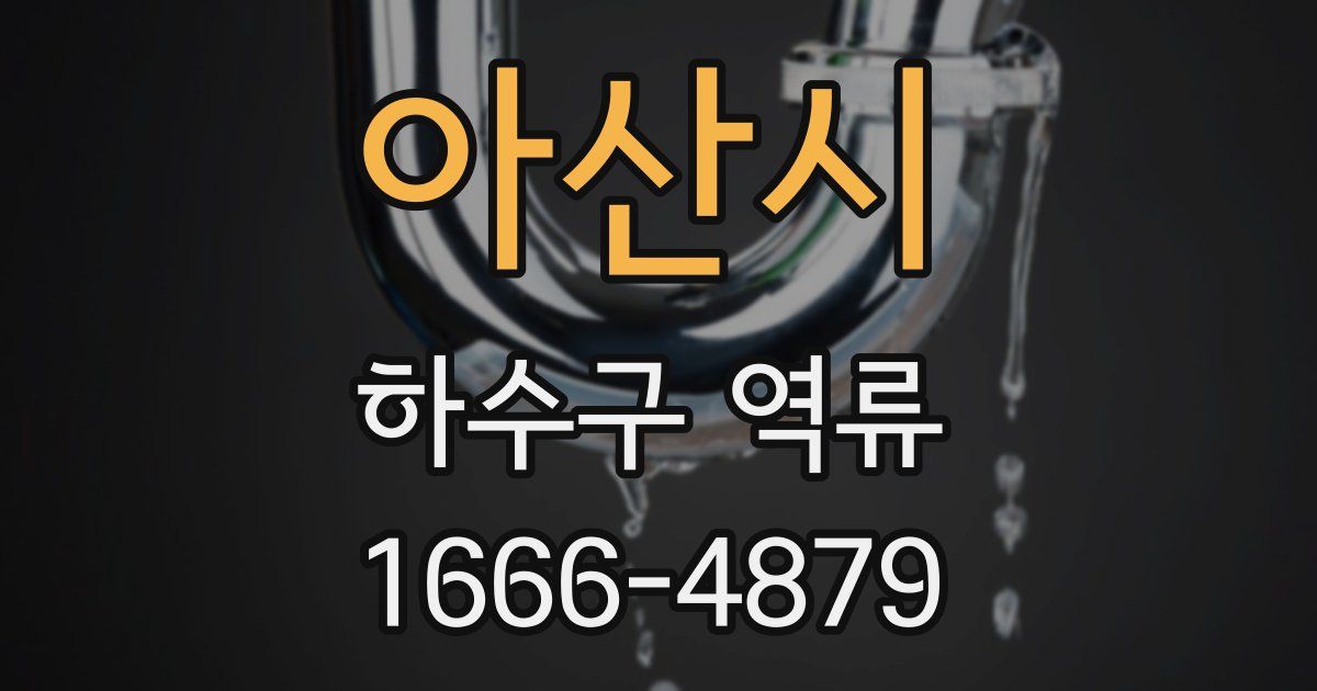 아산시 하수구 역류