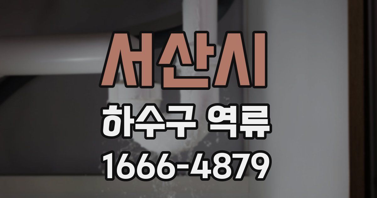 서산시 하수구 역류