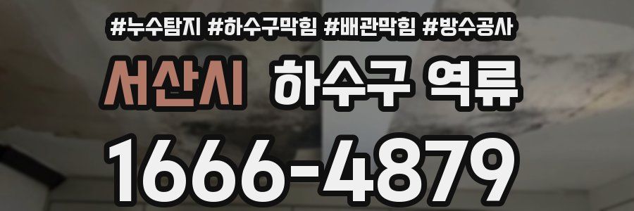 서산시 하수구 역류
