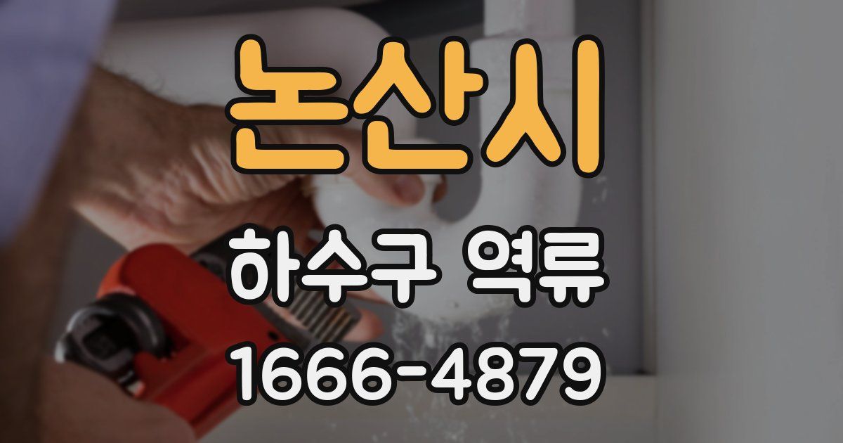 논산시 하수구 역류