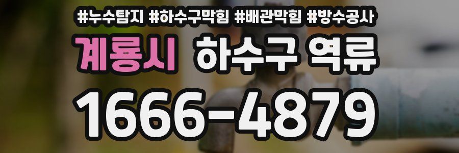 계룡시 하수구 역류