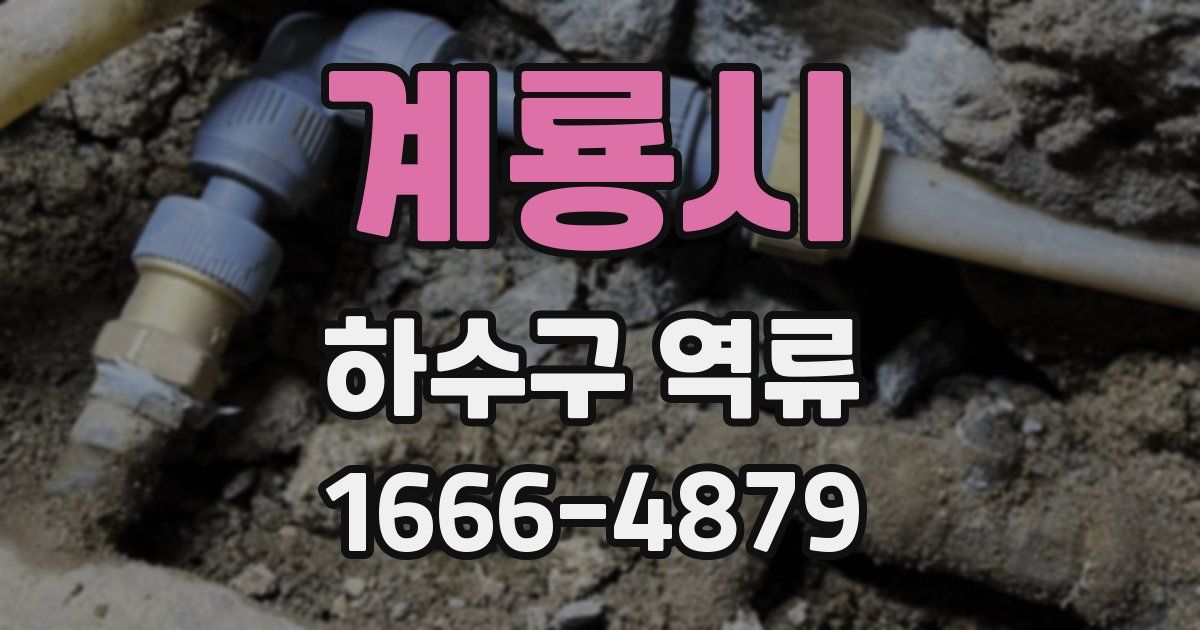 계룡시 하수구 역류