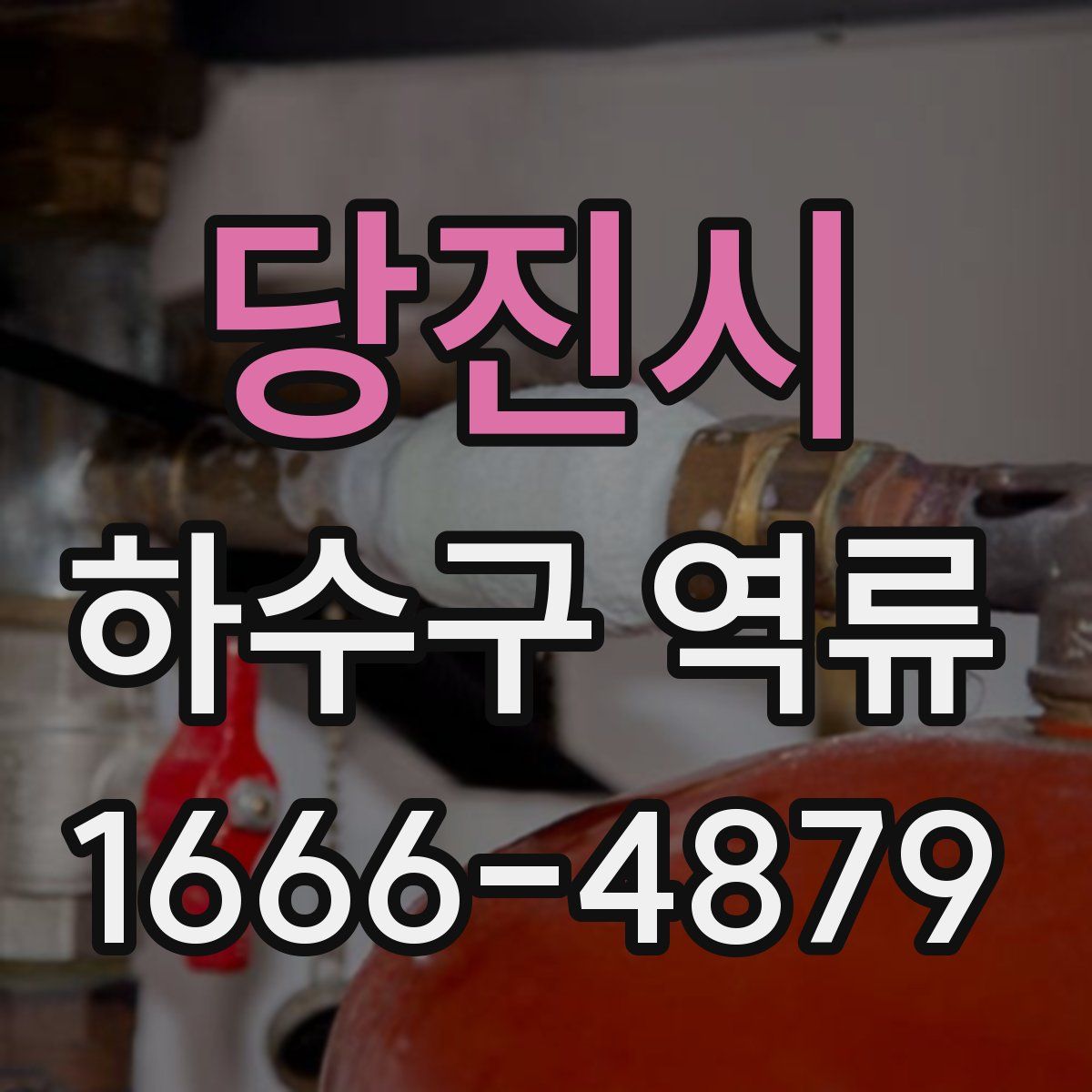 당진시 하수구 역류