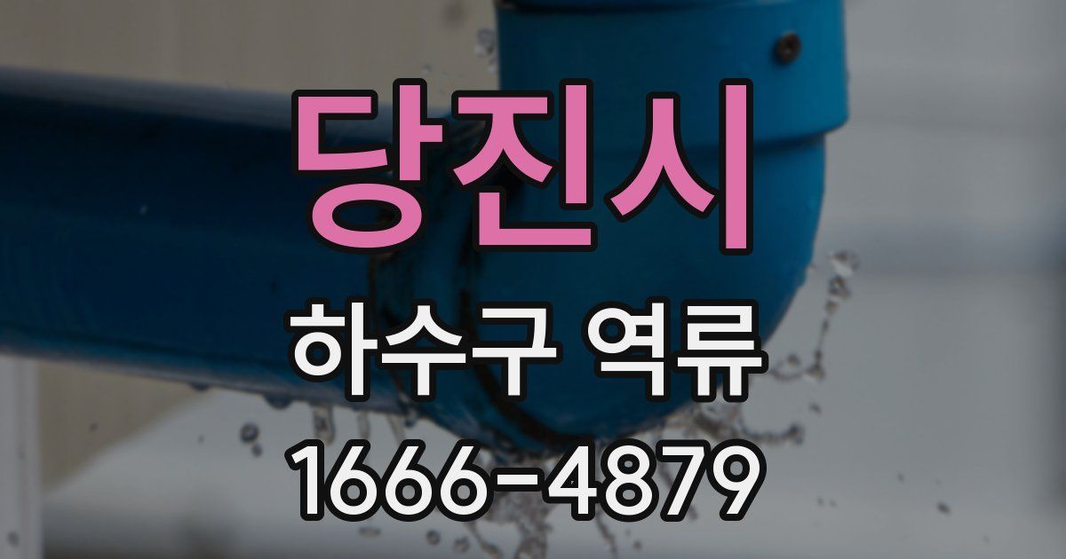 당진시 하수구 역류