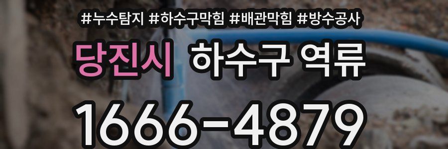 당진시 하수구 역류