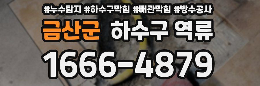 금산군 하수구 역류