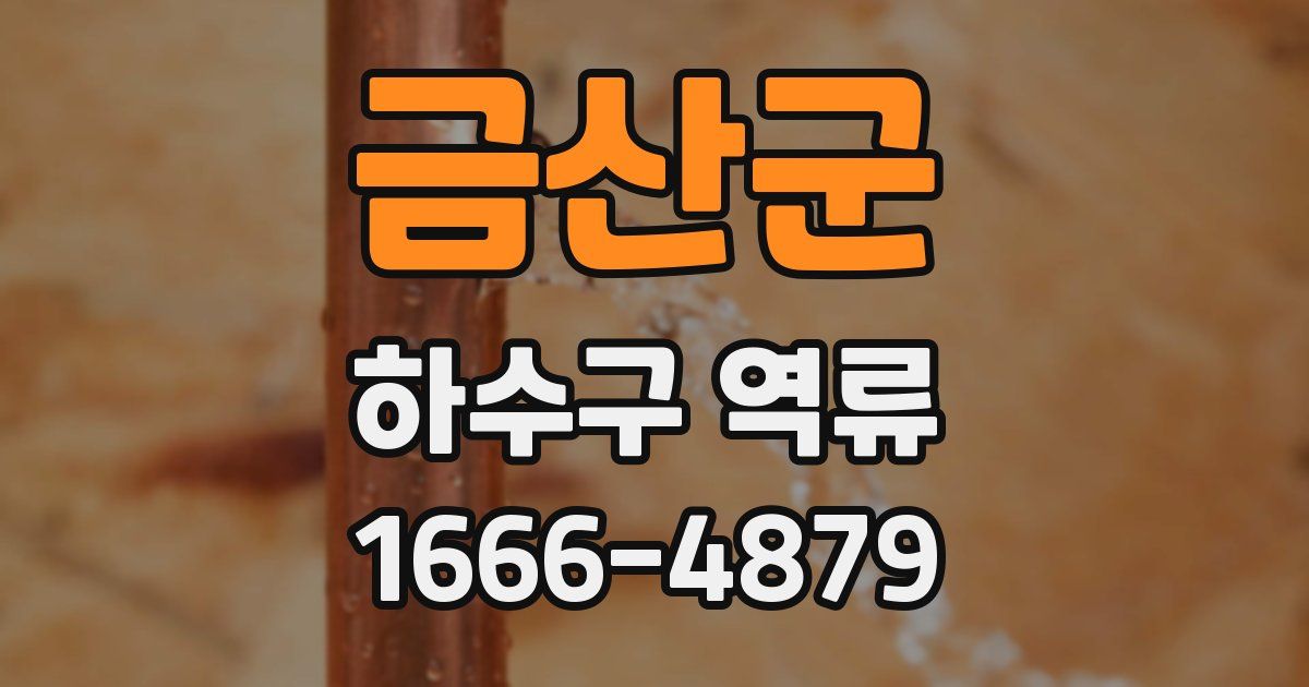 금산군 하수구 역류