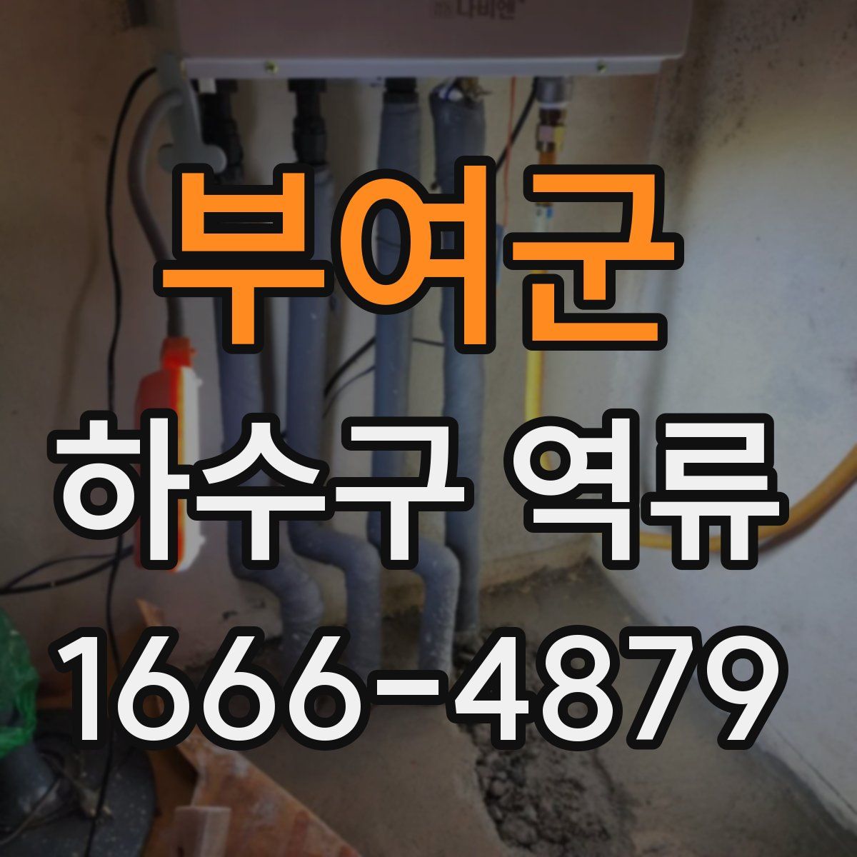 부여군 하수구 역류