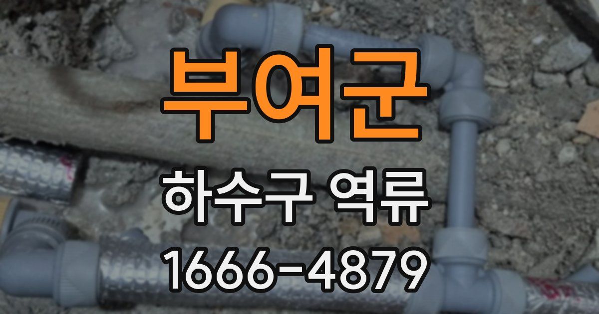 부여군 하수구 역류