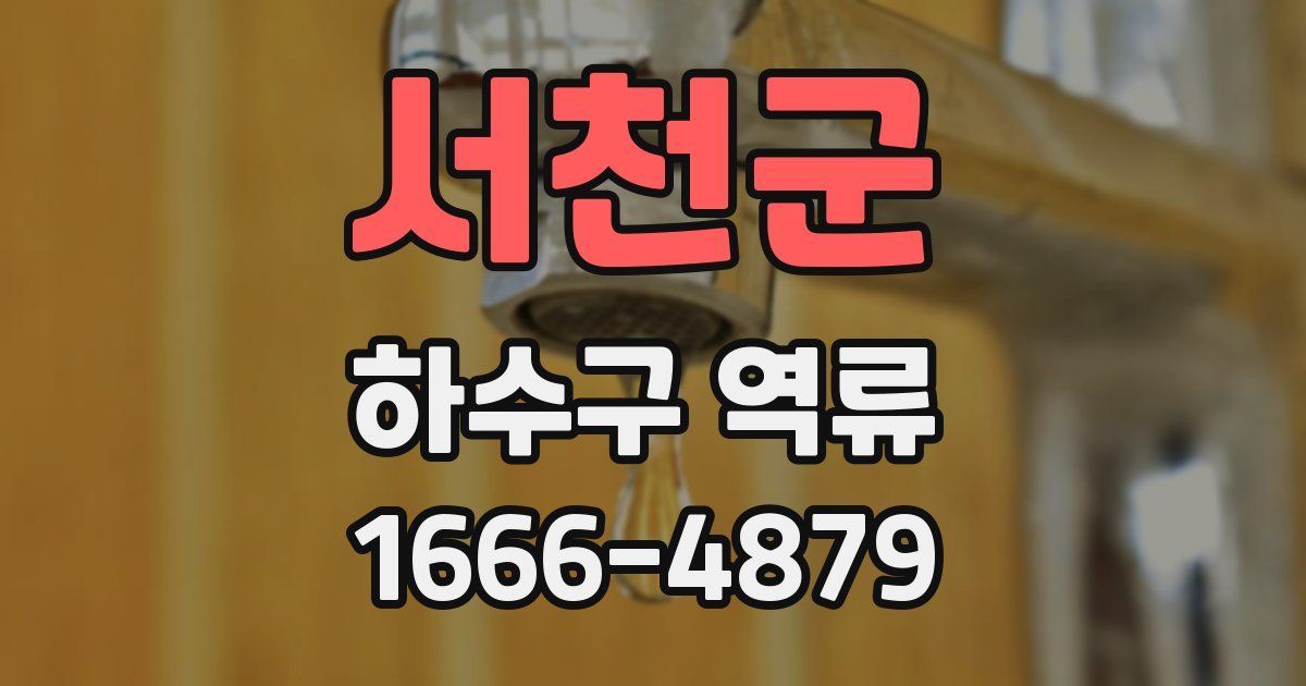 서천군 하수구 역류