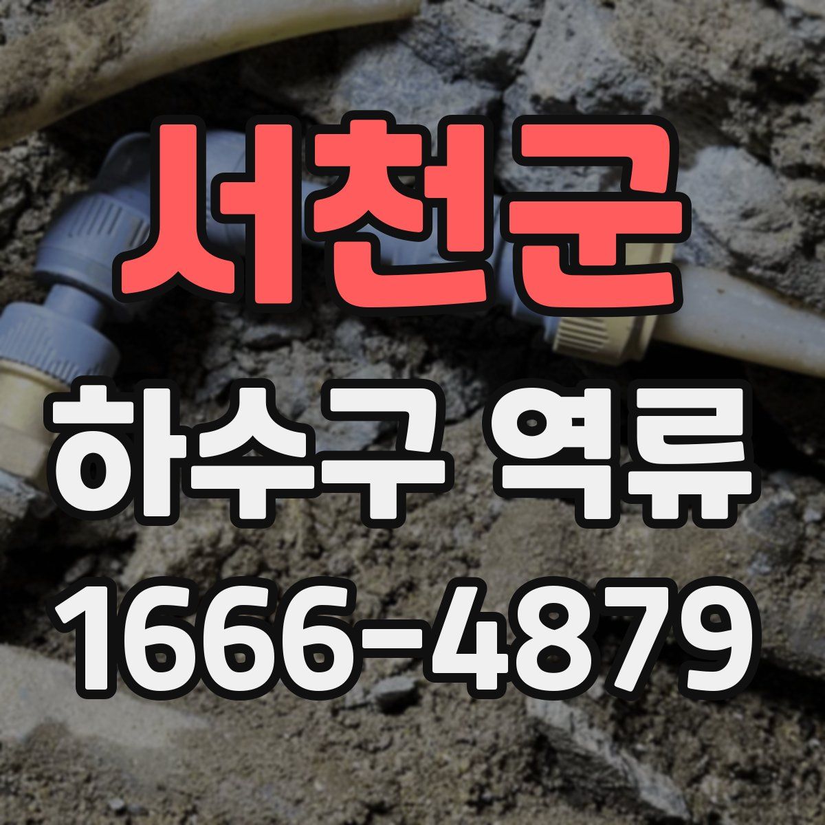 서천군 하수구 역류