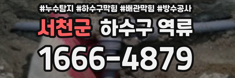 서천군 하수구 역류