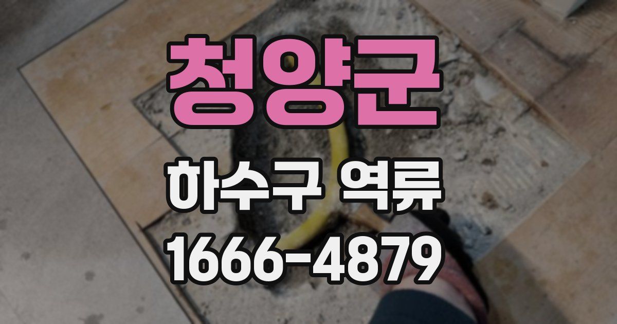 청양군 하수구 역류