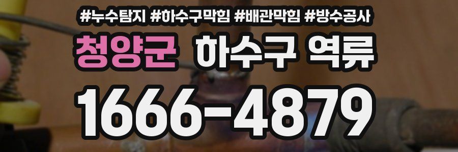 청양군 하수구 역류